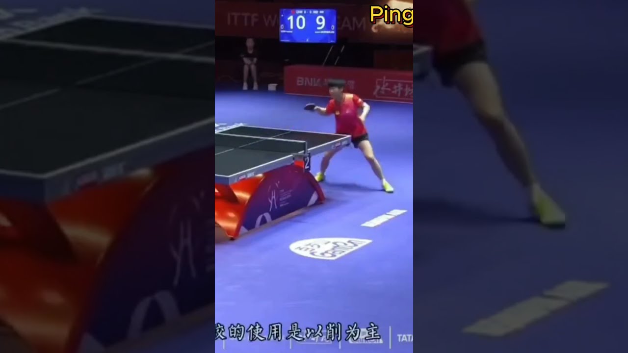 仅为球迷们